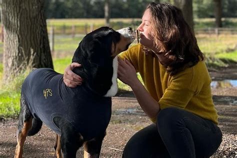 boerin annemiek boer zoekt vrouw|Boerin Annemiek van Boer zoekt Vrouw is zwanger:。